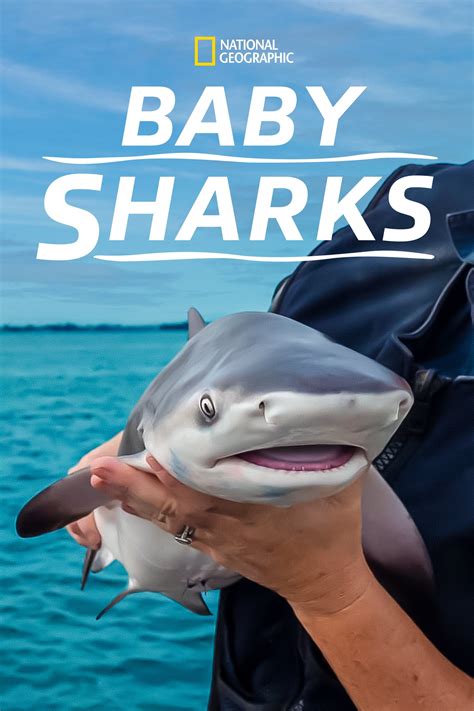 shark baby shark video